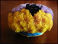 www.floristic.ru - .  