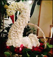 www.floristic.ru - .    -    ...