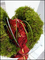 www.floristic.ru - . Euroscills.  .