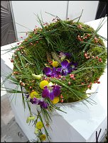 www.floristic.ru - . Euroscills.  .