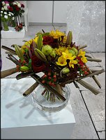 www.floristic.ru - . Euroscills.  .