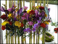 www.floristic.ru - . Euroscills.  .