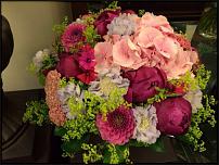 www.floristic.ru - .  