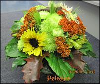 www.floristic.ru - .  !!