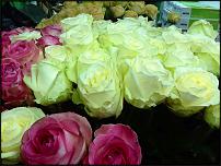 www.floristic.ru - .    .