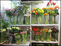 www.floristic.ru - .  