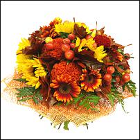 www.floristic.ru - .  !!