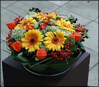 www.floristic.ru - .  !!