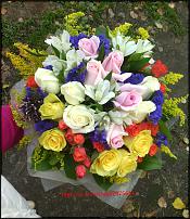 www.floristic.ru - .    -    ...