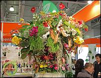 www.floristic.ru - . IV   FlowersExpo/ 17 - 19  2014 