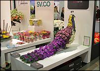 www.floristic.ru - . IV   FlowersExpo/ 17 - 19  2014 