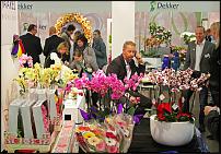 www.floristic.ru - . IV   FlowersExpo/ 17 - 19  2014 