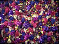 www.floristic.ru - Флористика. IV Международная выставка «FlowersExpo/ЦветыЭкспо» 17 - 19 сентября 2014 года