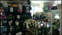 www.floristic.ru - Флористика. Интерьеры цветочных магазинов
