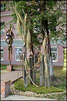 www.floristic.ru - .  