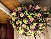 www.floristic.ru - . Stef Adriaenssens