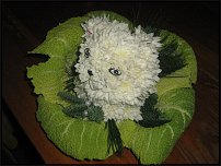 www.floristic.ru - .   ....