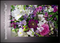 www.floristic.ru - .  