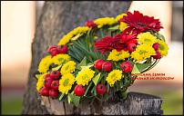 www.floristic.ru - .  -  .