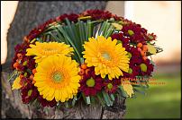 www.floristic.ru - .  -  .