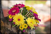 www.floristic.ru - .  -  .