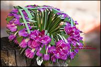 www.floristic.ru - .  -  .