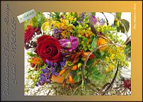 www.floristic.ru - .  