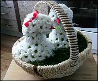 www.floristic.ru - .  .