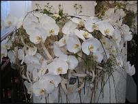 www.floristic.ru - Флористика. Fleuramour 2014