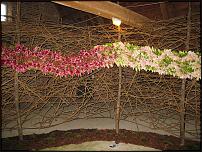 www.floristic.ru - Флористика. Fleuramour 2014