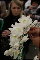 www.floristic.ru - .  w Moskwie Zygmunta Sieradzana