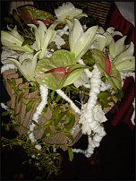 www.floristic.ru - .        