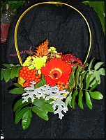 www.floristic.ru - .    !!!