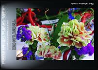 www.floristic.ru - .  