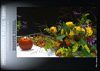 www.floristic.ru - .  