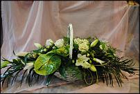 www.floristic.ru - .    