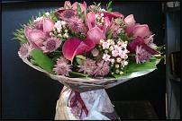 www.floristic.ru - .    