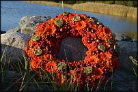 www.floristic.ru - .    (, - )