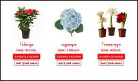 www.floristic.ru - Флористика. Улыбнись, флорист!