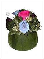 www.floristic.ru - .     -   !