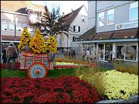 www.floristic.ru - . ""      