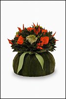 www.floristic.ru - .     -   !