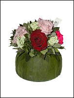 www.floristic.ru - .     -   !