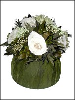 www.floristic.ru - .     -   !