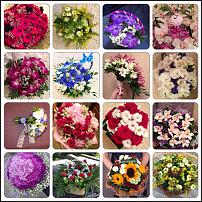 www.floristic.ru - .        ,