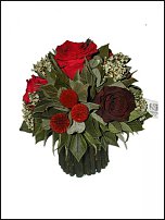 www.floristic.ru - .     -   !