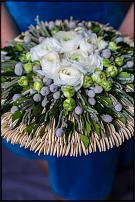 www.floristic.ru - .     