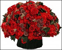 www.floristic.ru - .     -   !