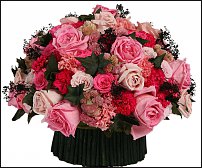 www.floristic.ru - .     -   !