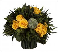 www.floristic.ru - .     -   !